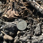 st mary cemetery several president truman coins found in plowed field